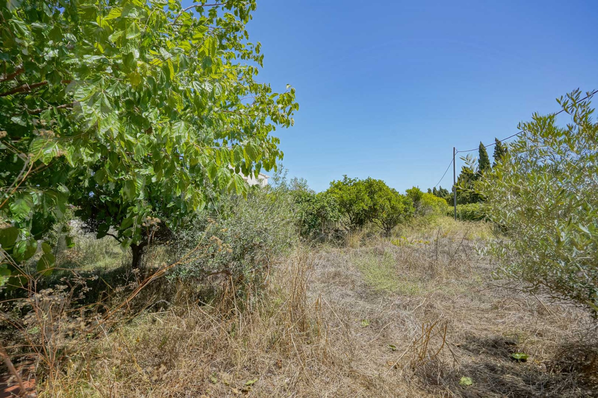 Revente - Villa -
Jávea - Adsubia