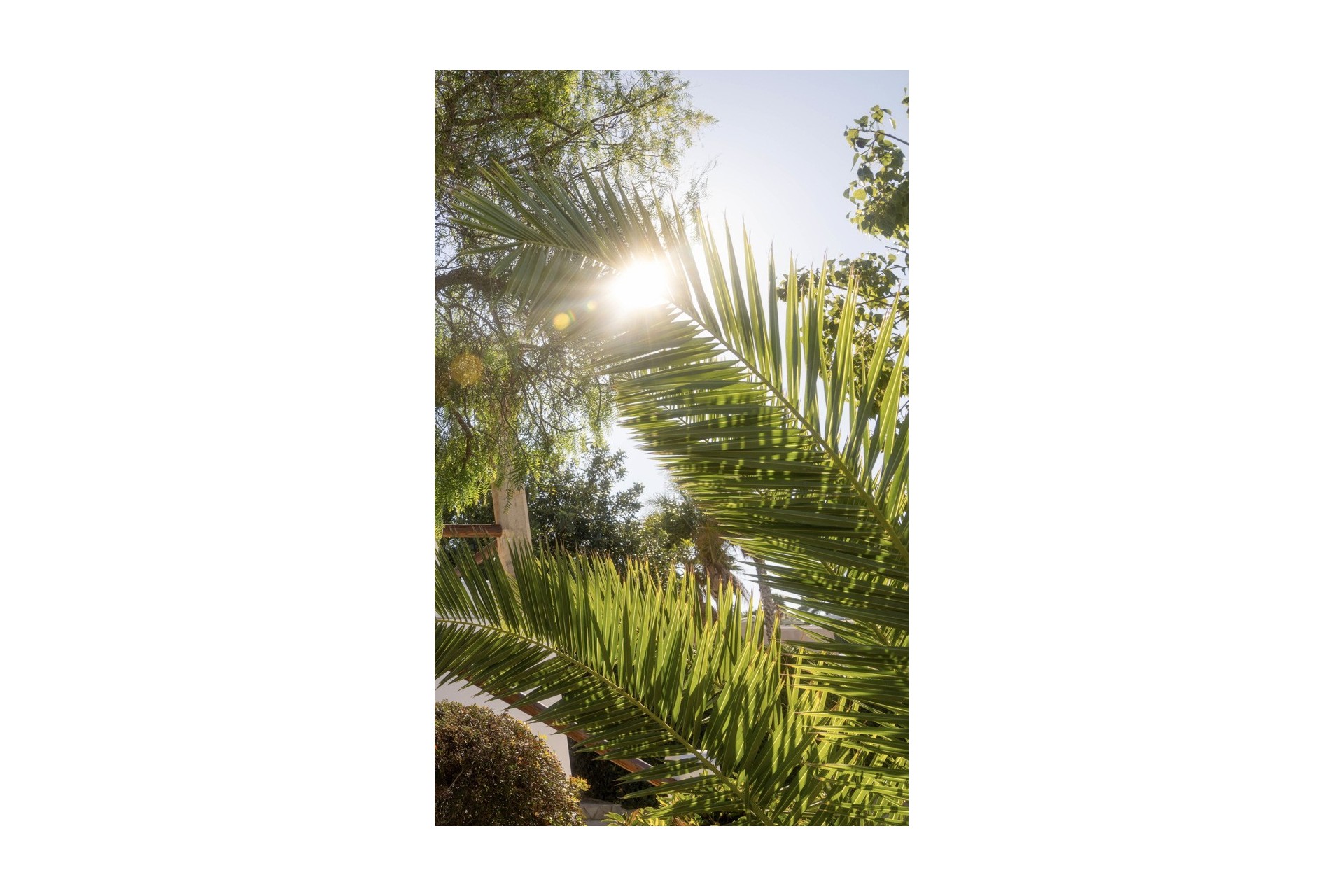 Revente - Villa -
Jávea - Tosalet