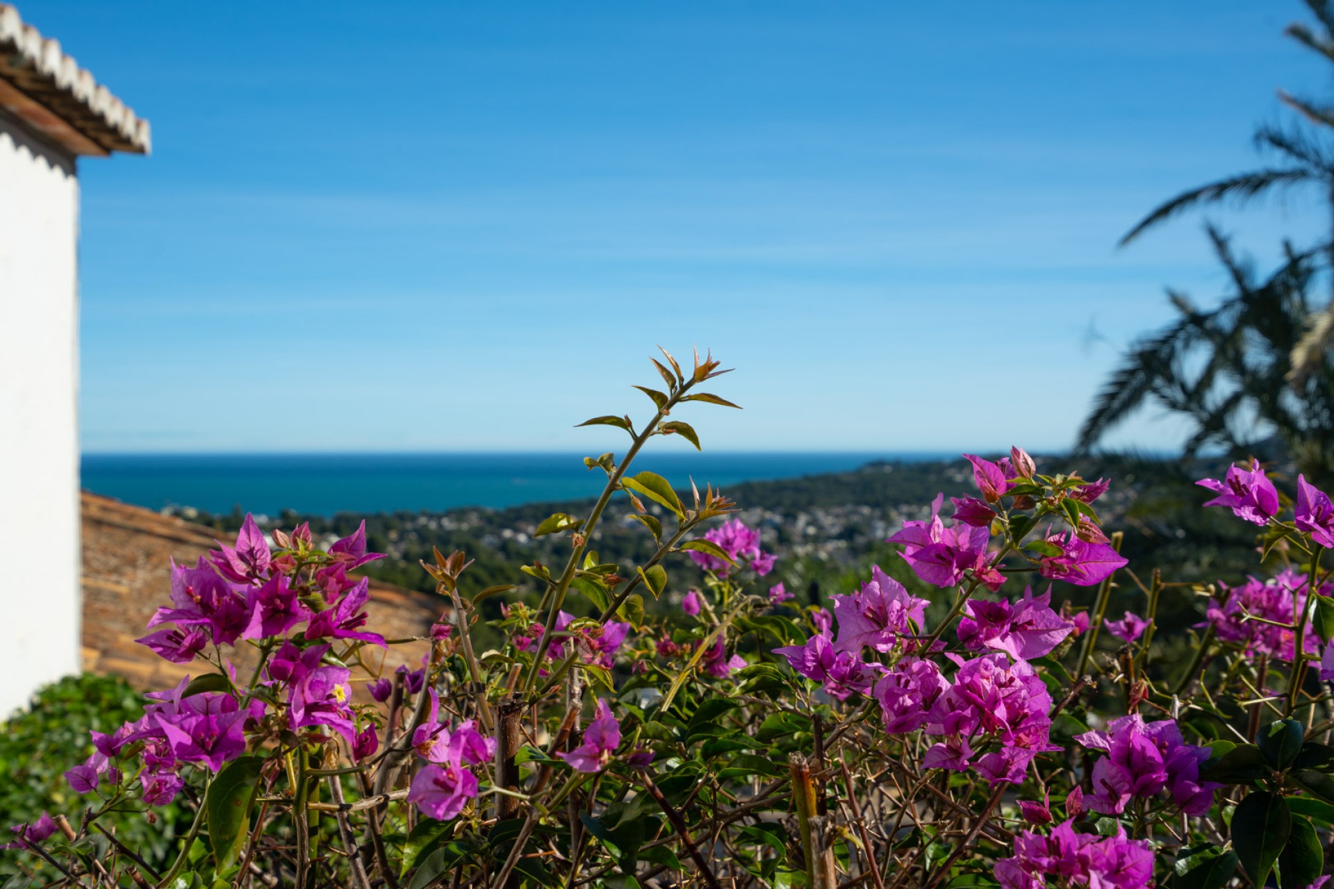 Revente - Villa -
Jávea - Tosalet