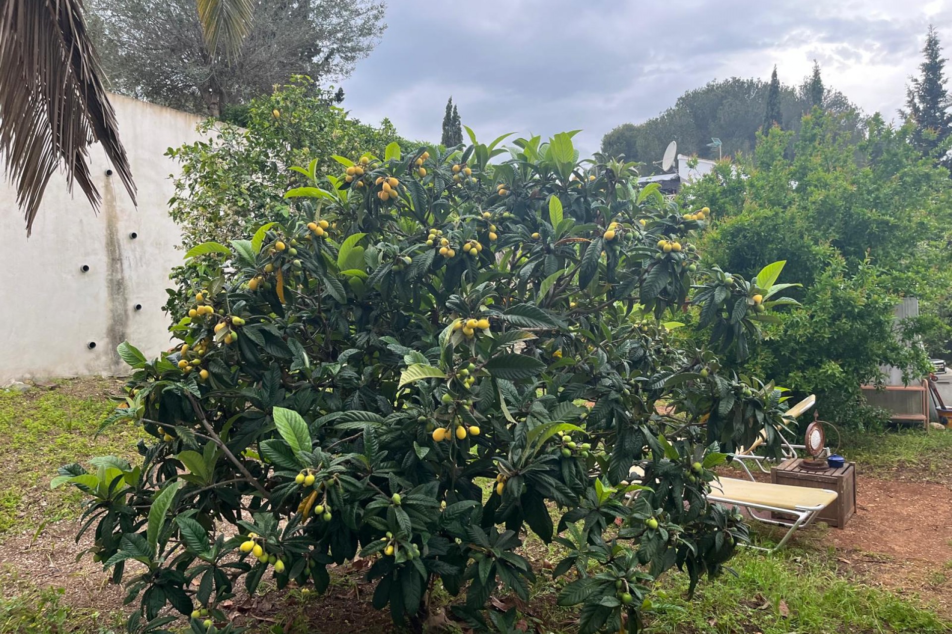 Revente - Villa -
Jávea / Xàbia - Cap Martí - El Tossalet - Pinomar