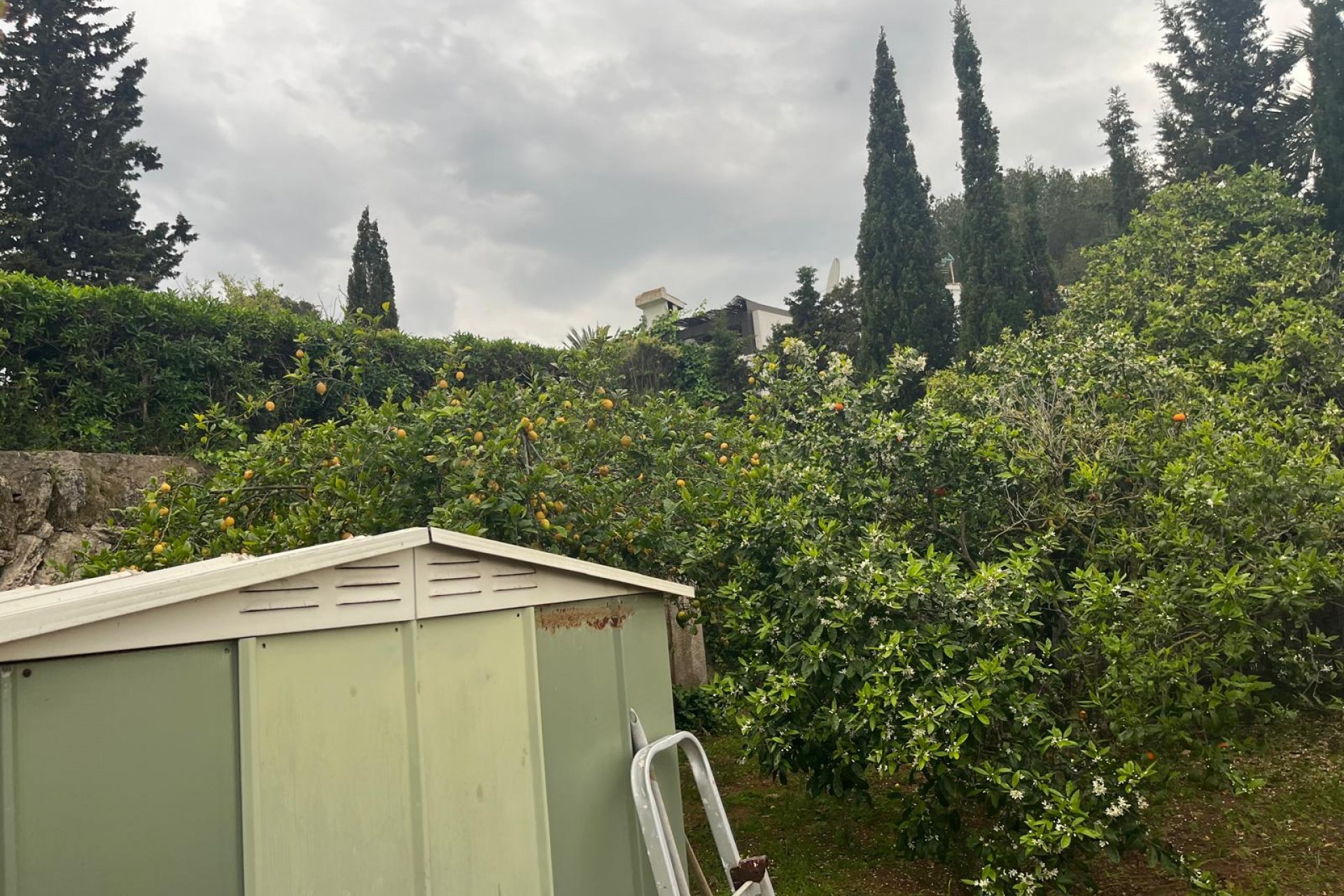 Revente - Villa -
Jávea / Xàbia - Cap Martí - El Tossalet - Pinomar