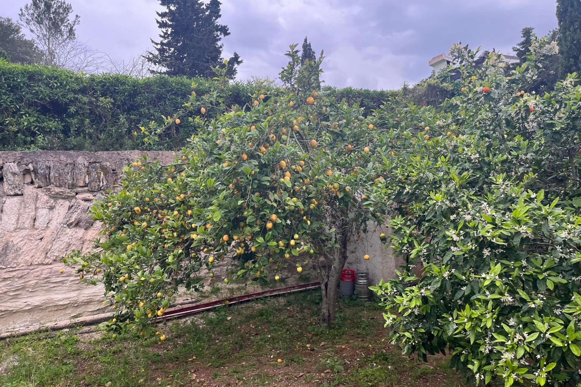 Revente - Villa -
Jávea / Xàbia - Cap Martí - El Tossalet - Pinomar