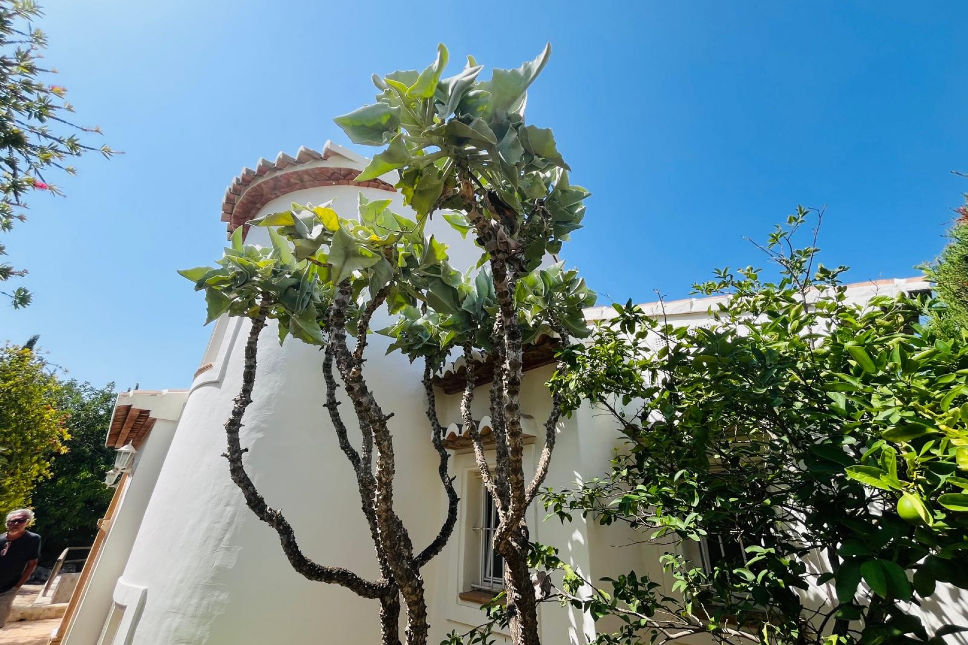 Revente - Villa -
Jávea / Xàbia - La Granadella  - Costa Nova