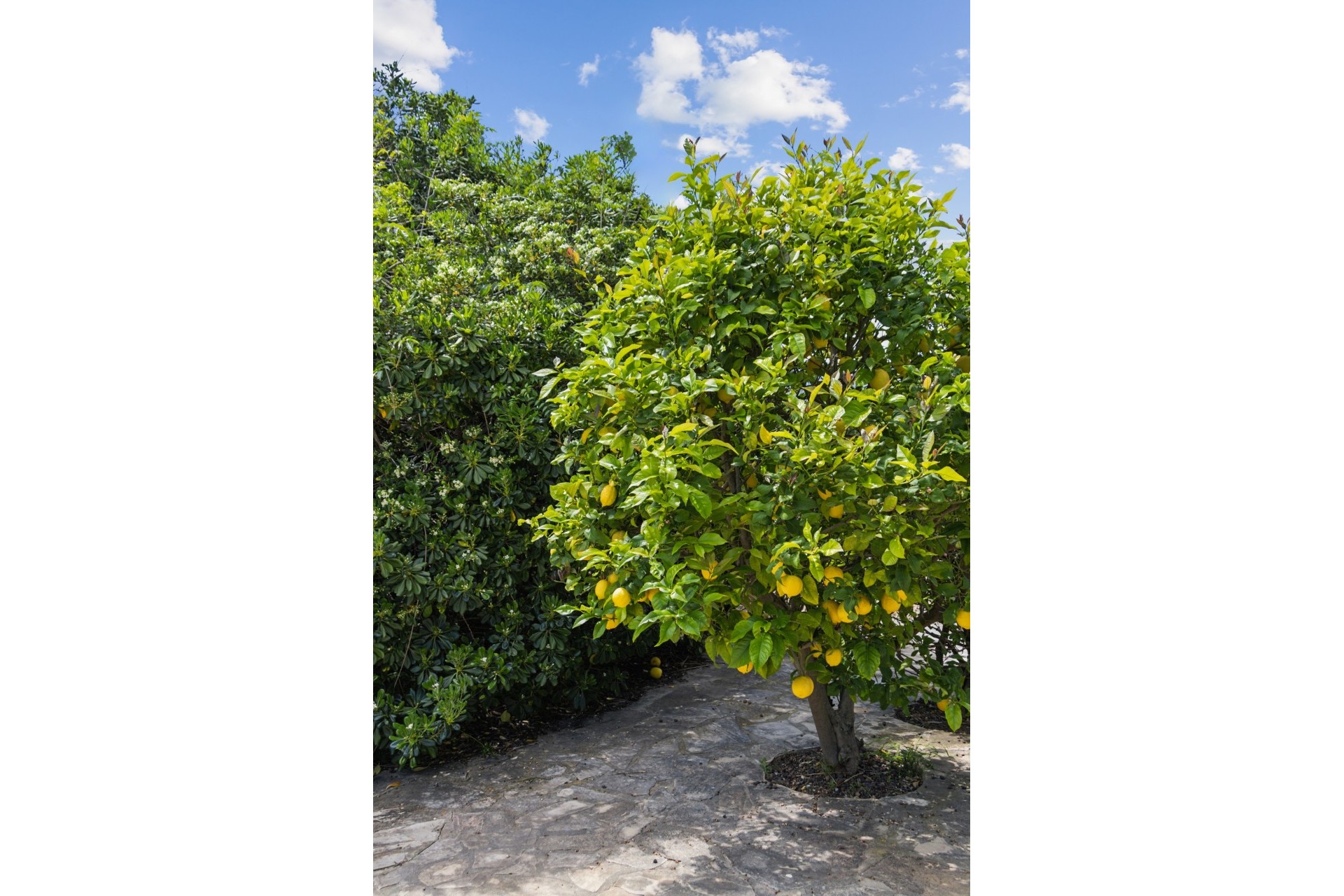 Revente - Villa -
Jávea / Xàbia - Montgó - Ermita