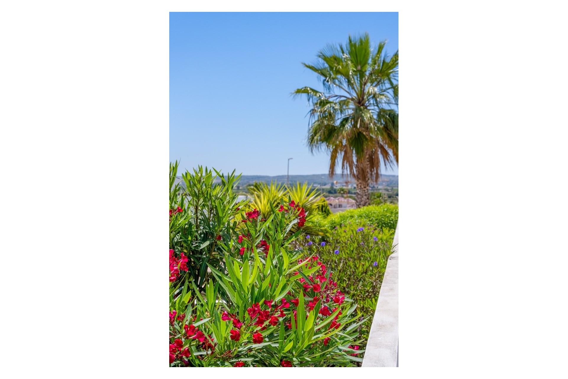 Revente - Villa -
La Marina