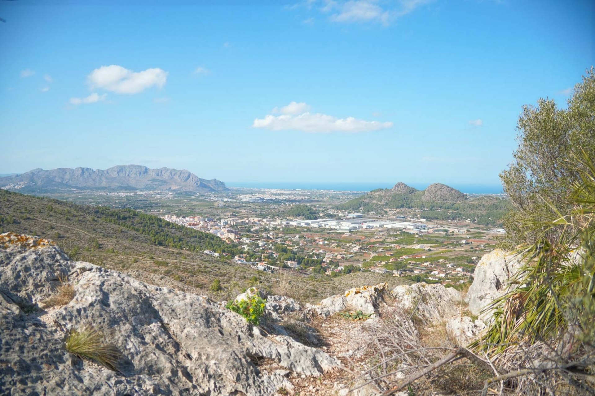 Revente - Villa -
Pedreguer