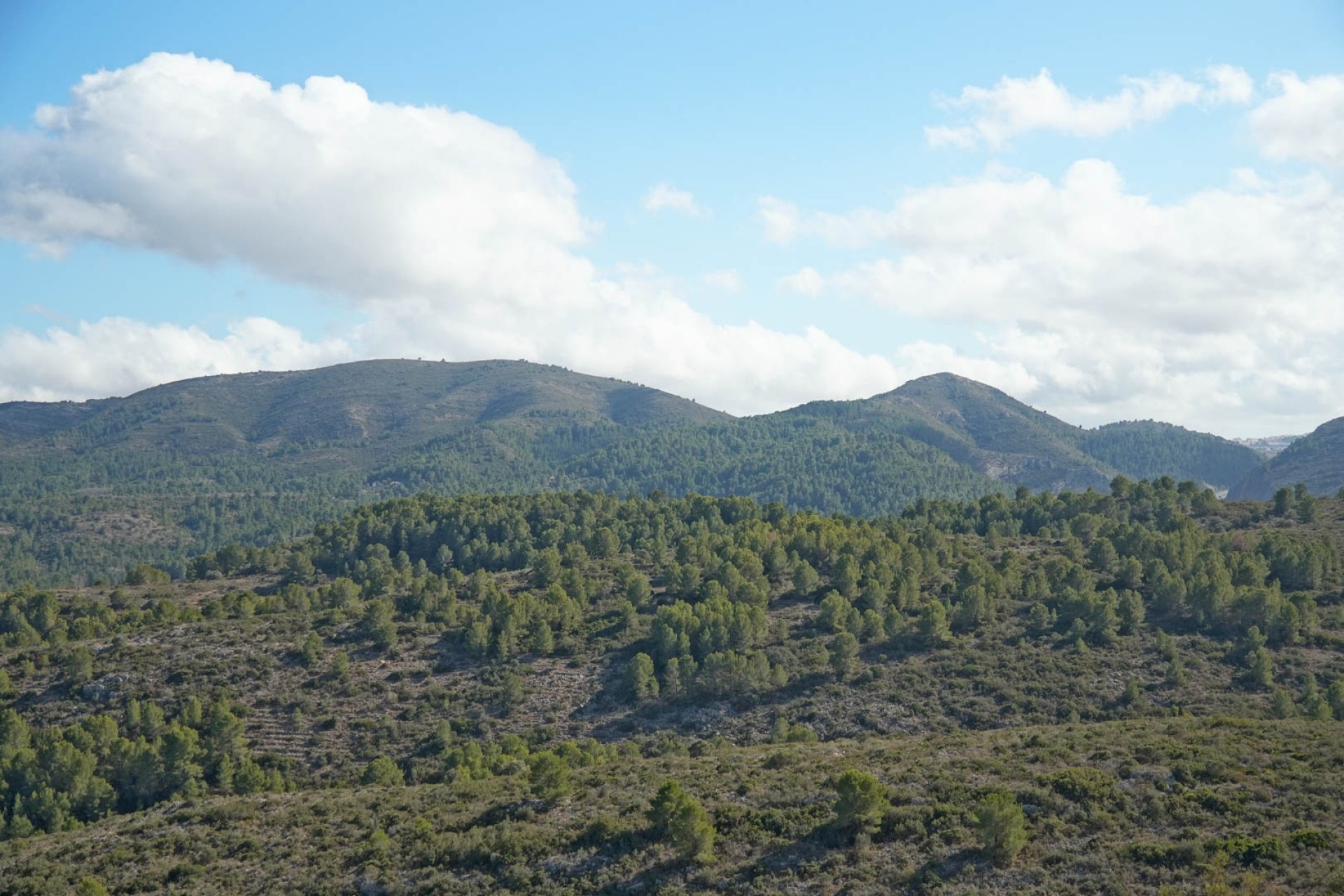 Revente - Villa -
Pedreguer