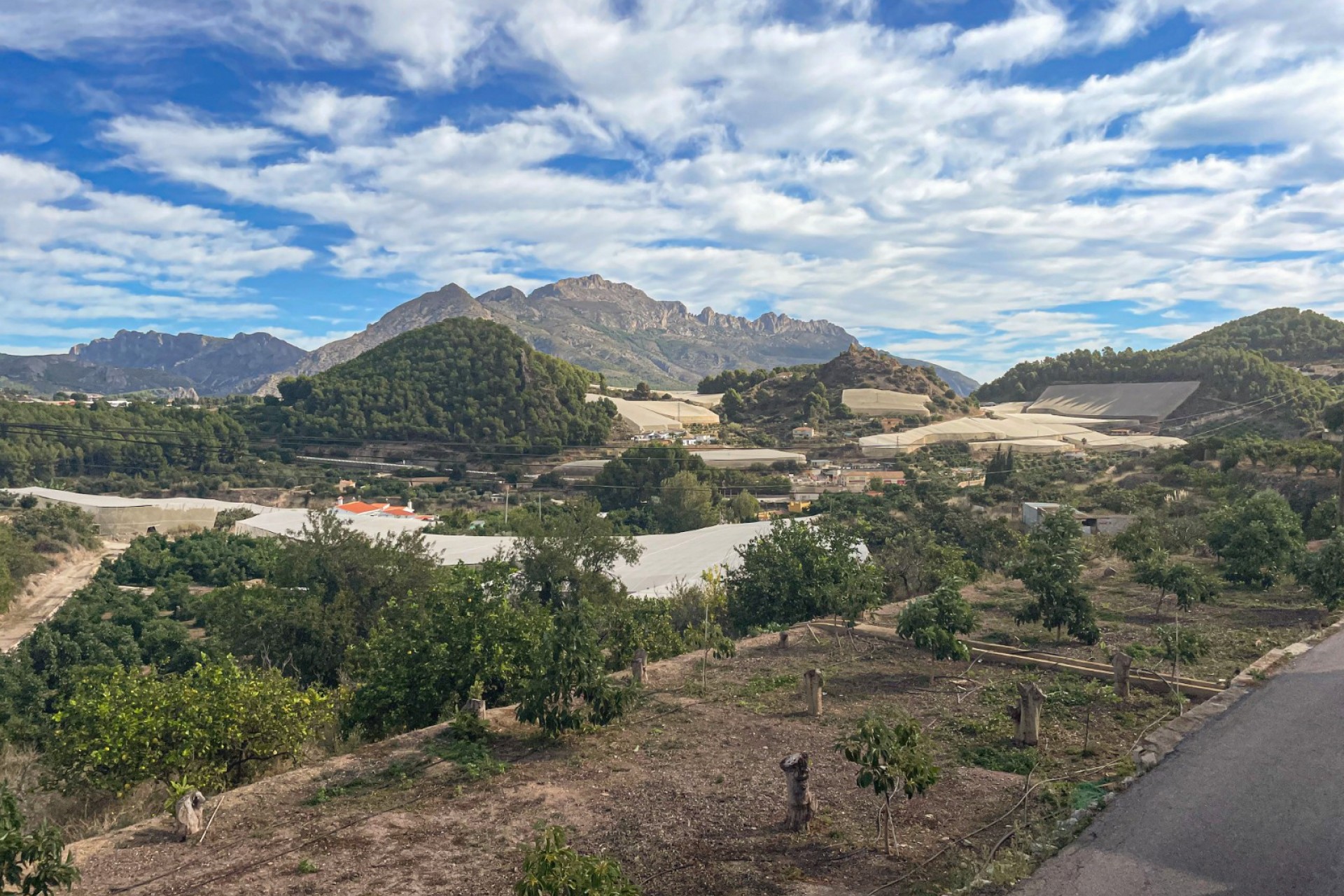 Revente - Villa -
Polop