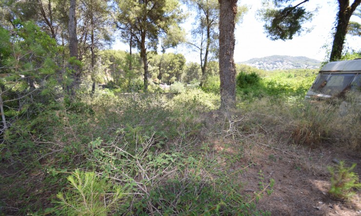 Rural Land - Resale - Jávea / Xàbia - Partides comunes - Adsubia