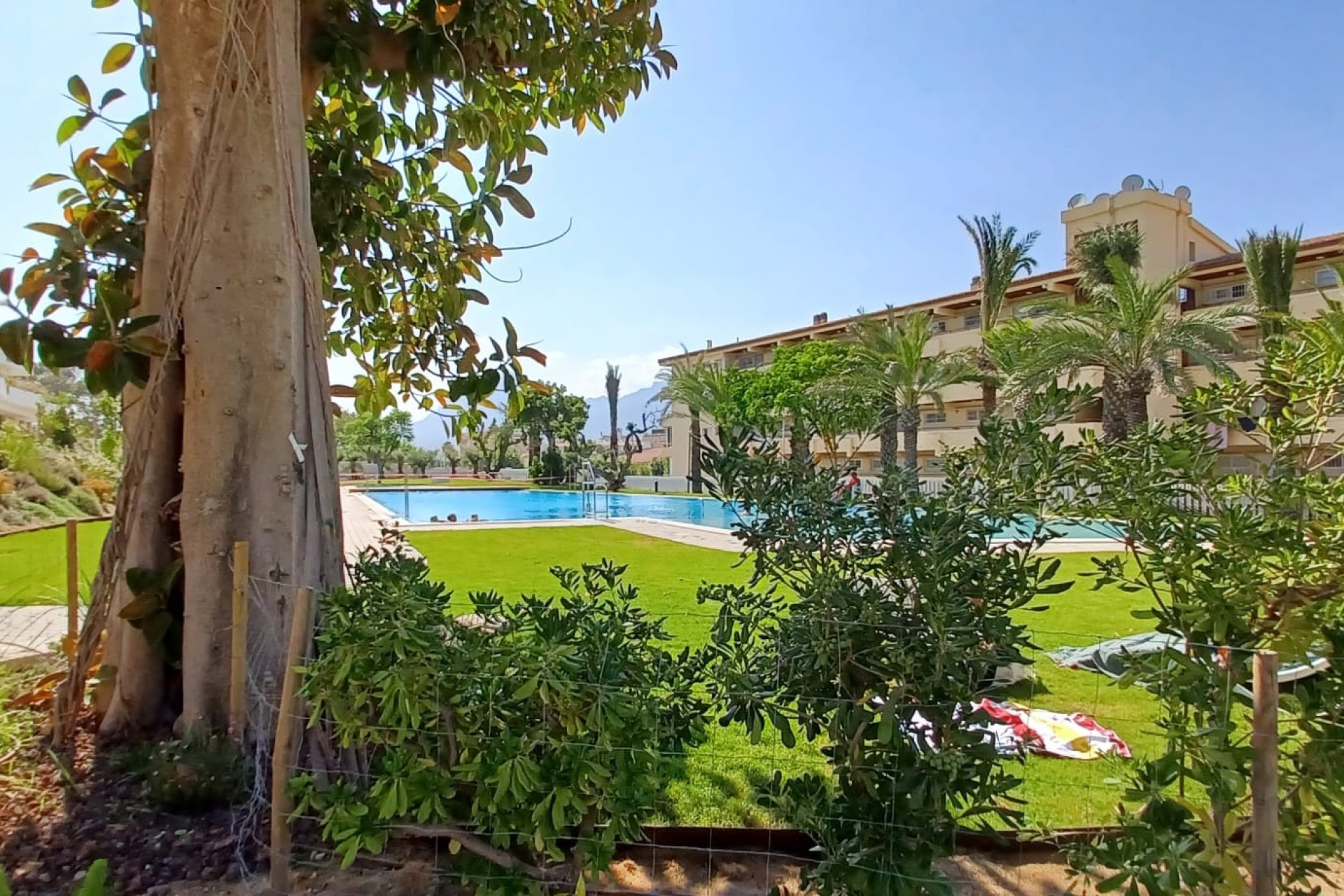 Rynek Wtórny - Apartament -
Alfaz del Pi - Albir