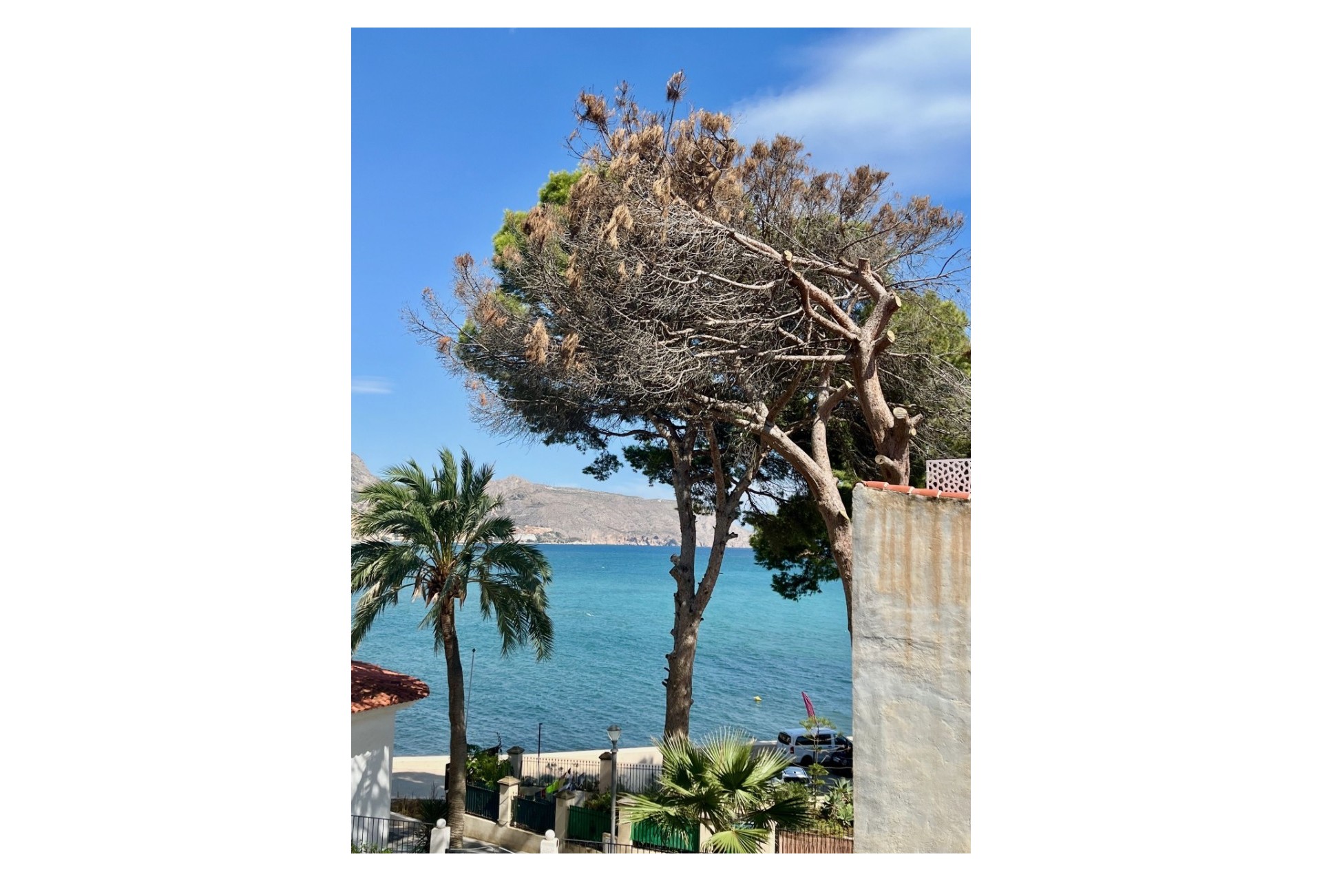 Rynek Wtórny - Apartament -
Altea