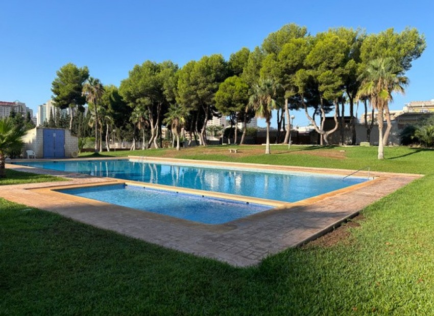 Rynek Wtórny - Apartament -
Benidorm