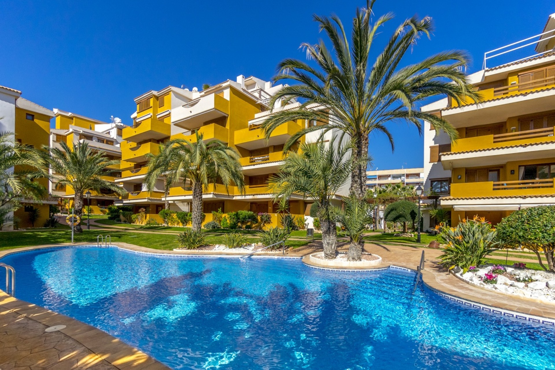 Rynek Wtórny - Apartament -
Torrevieja - Punta Prima