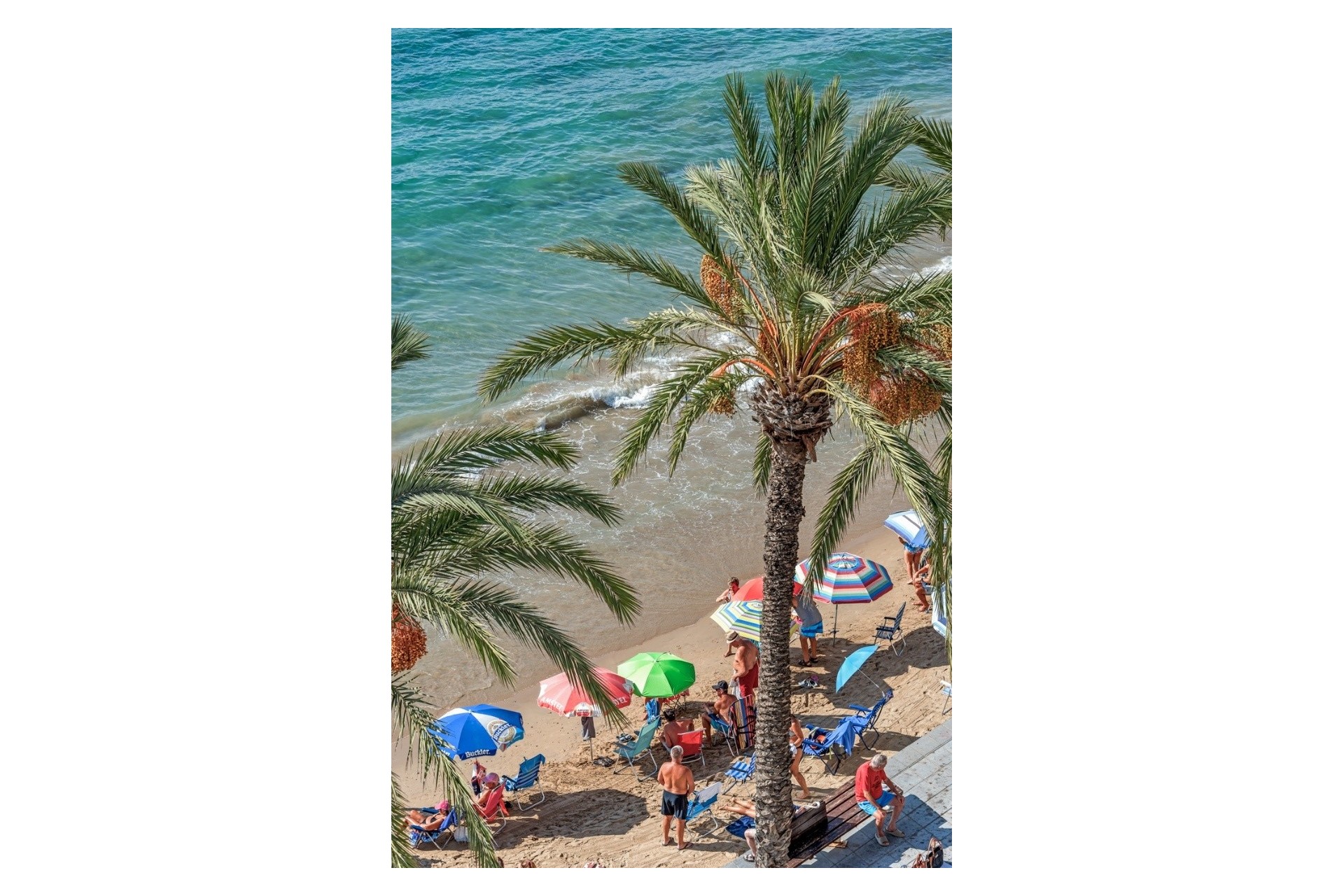 Rynek Wtórny - Apartament -
Torrevieja