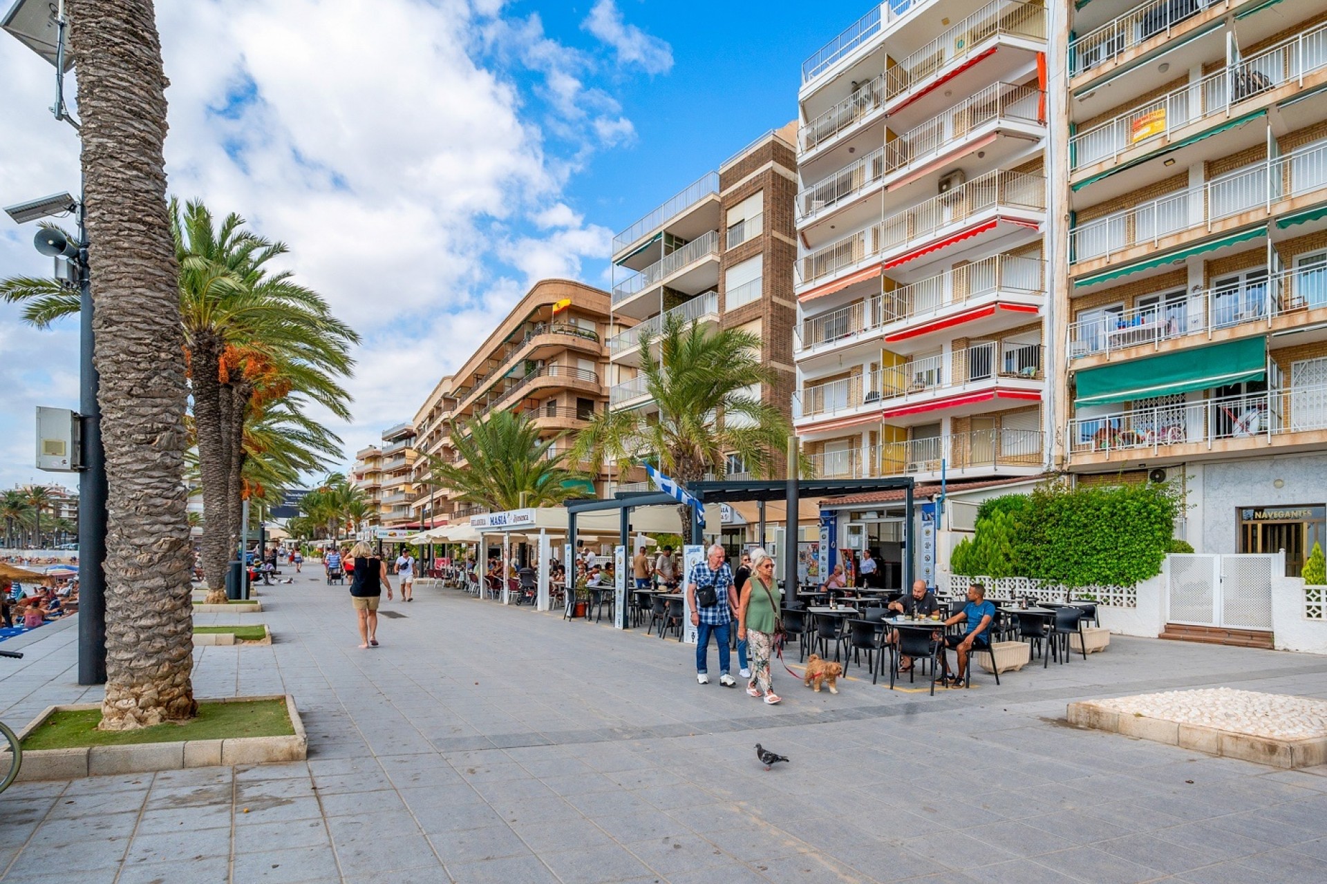 Rynek Wtórny - Apartament -
Torrevieja
