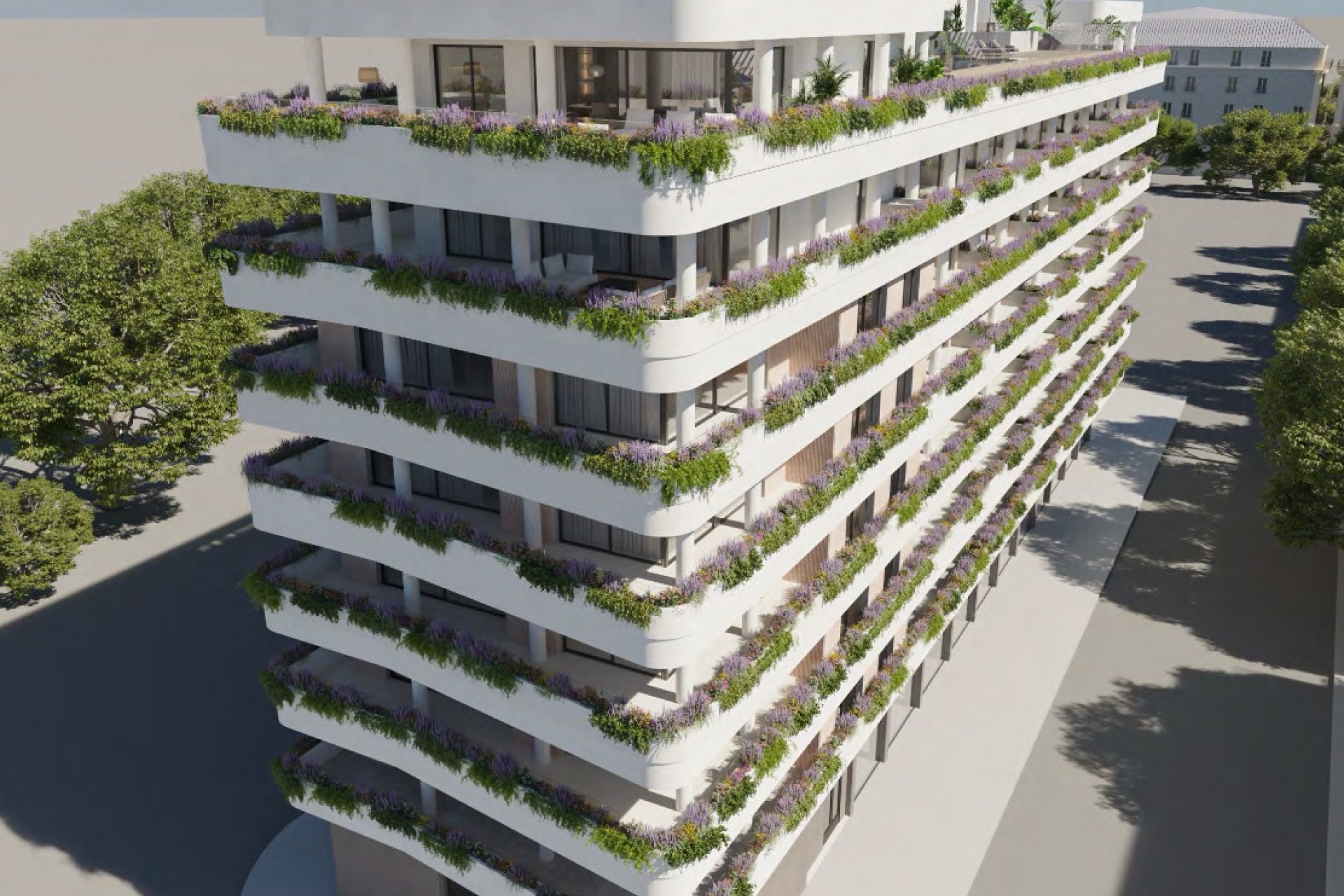 Rynek Wtórny - Apartament -
