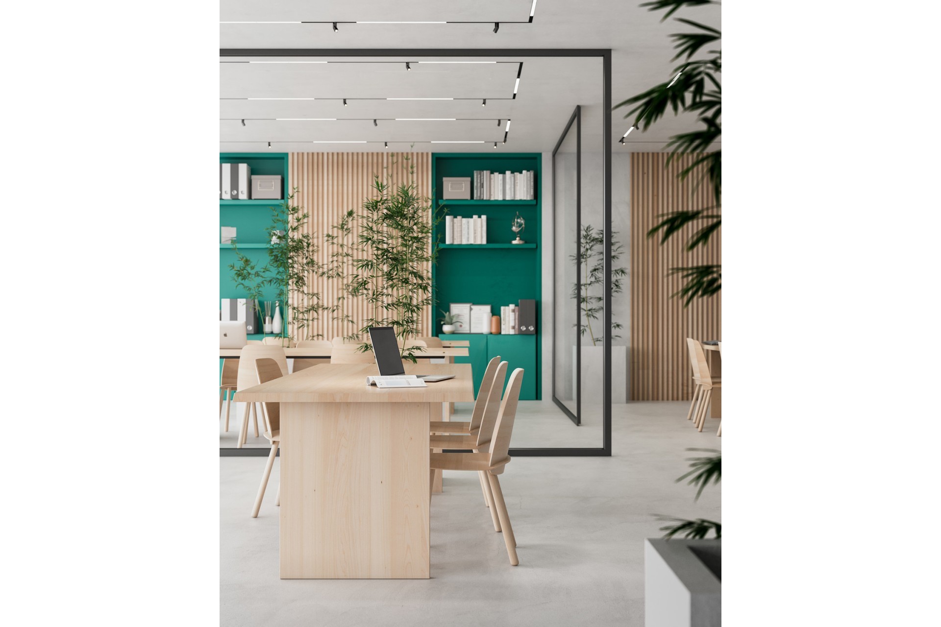 Rynek Wtórny - Apartament -
