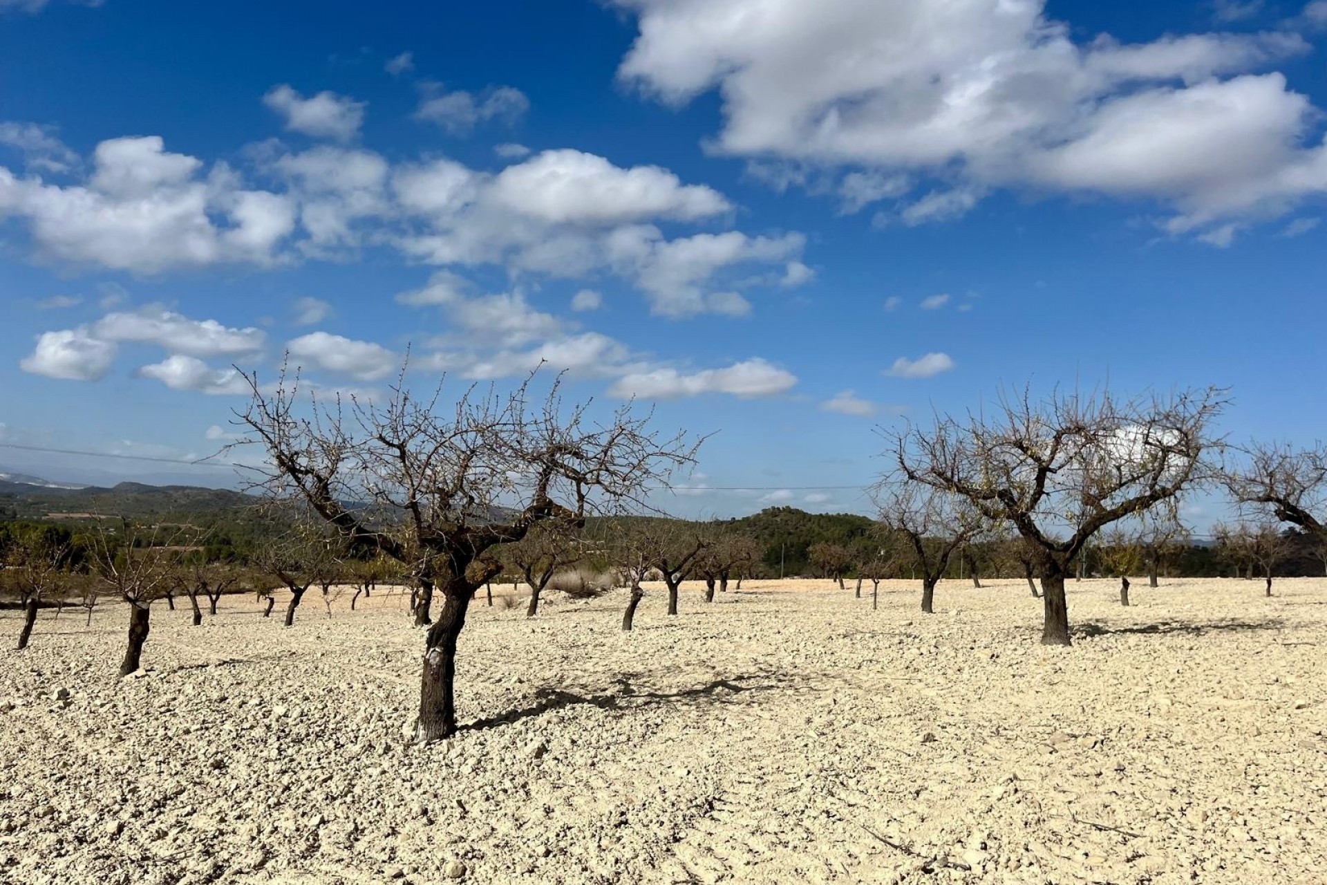 Rynek Wtórny -  -
BULLAS - Costa Calida