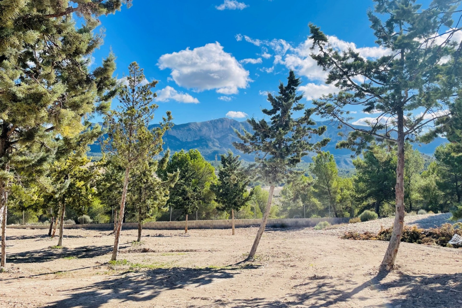 Rynek Wtórny - Dom wiejski -
Jijona