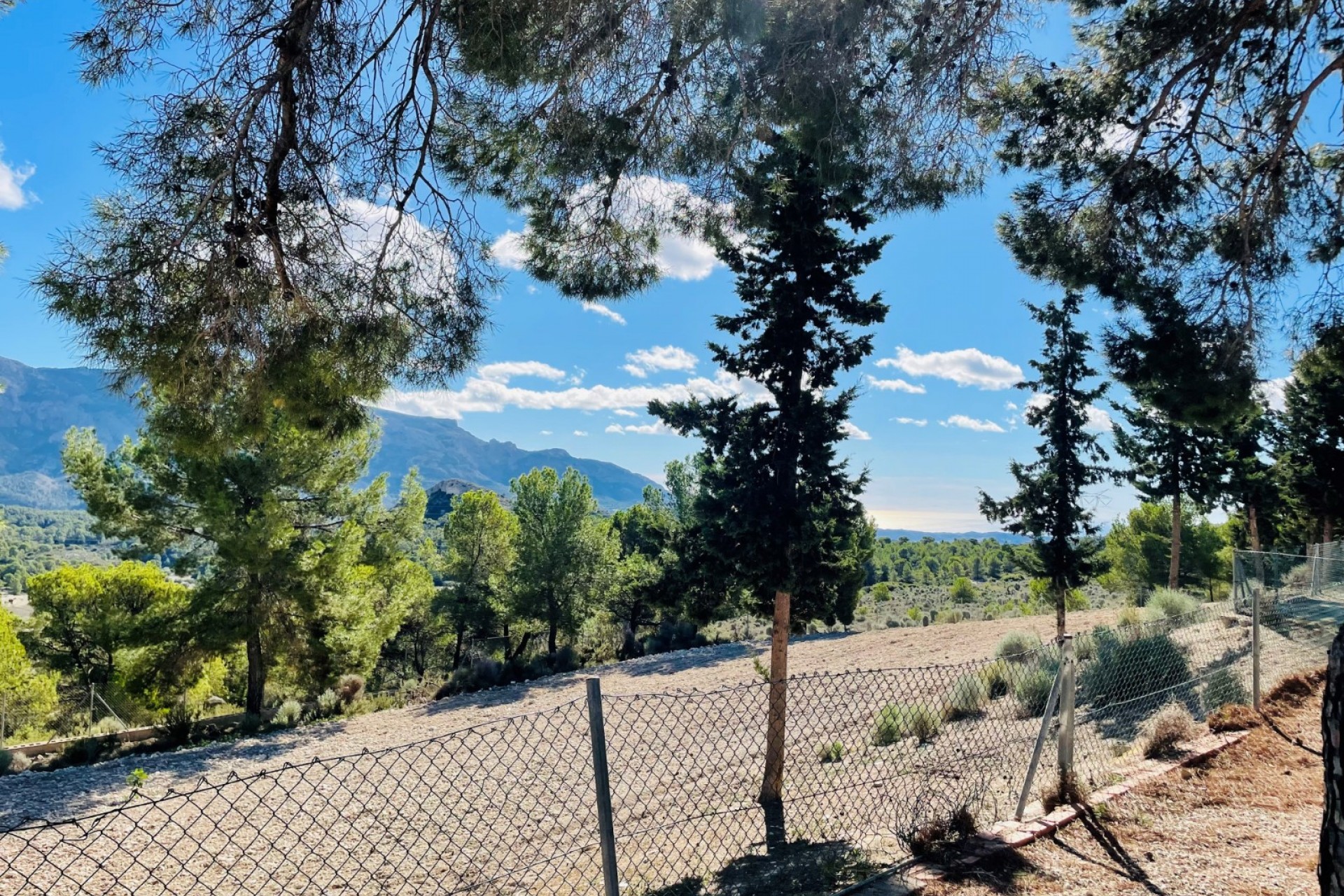 Rynek Wtórny - Dom wiejski -
Jijona