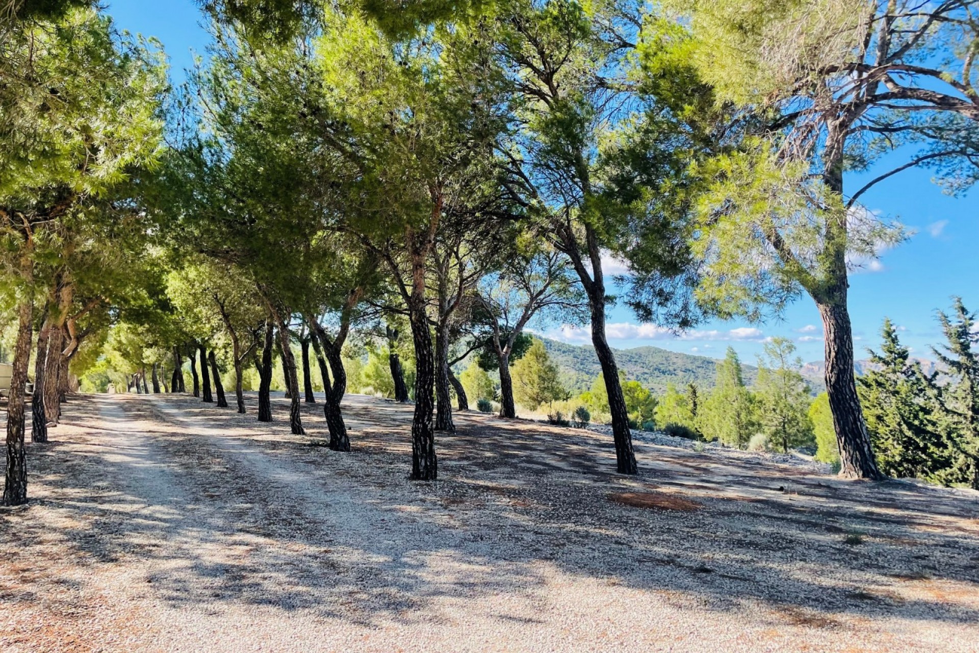 Rynek Wtórny - Dom wiejski -
Jijona
