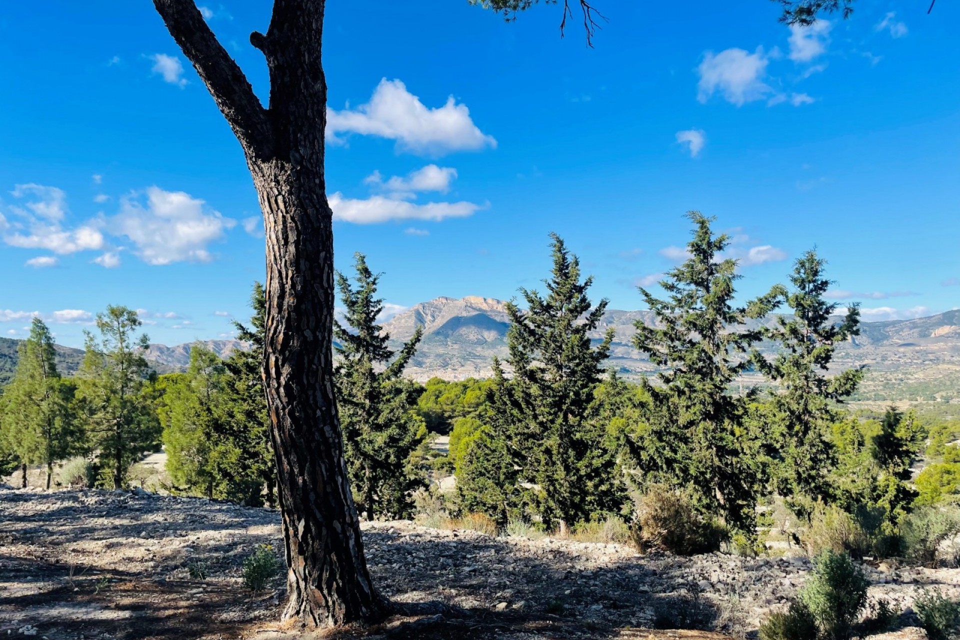 Rynek Wtórny - Dom wiejski -
Jijona