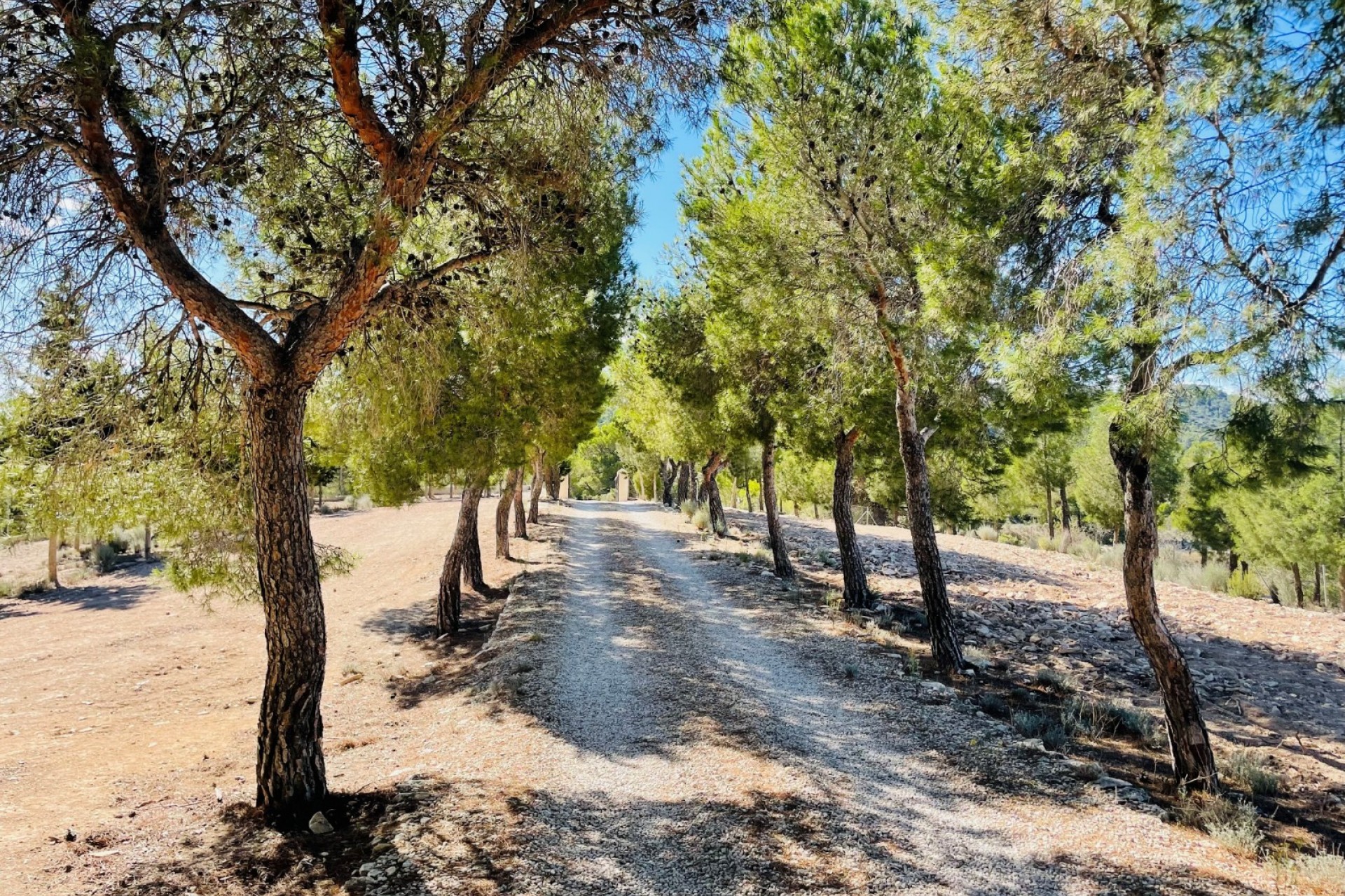 Rynek Wtórny - Dom wiejski -
Jijona