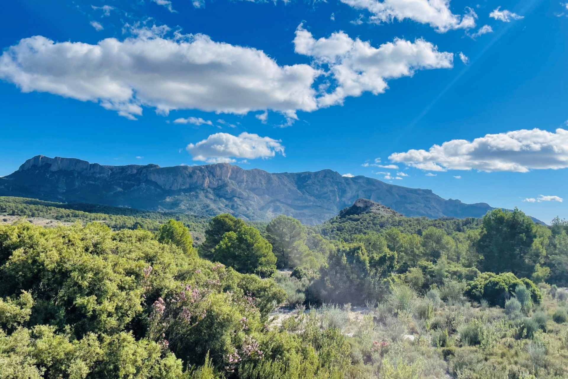 Rynek Wtórny - Dom wiejski -
Jijona