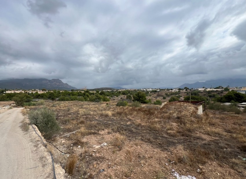 Rynek Wtórny - Działka -
Alfaz del Pi