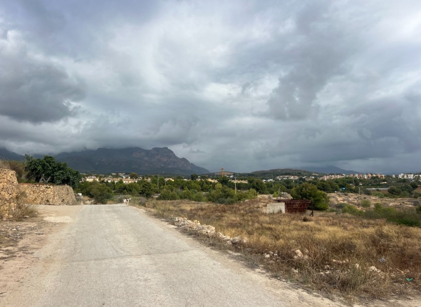 Rynek Wtórny - Działka -
Alfaz del Pi