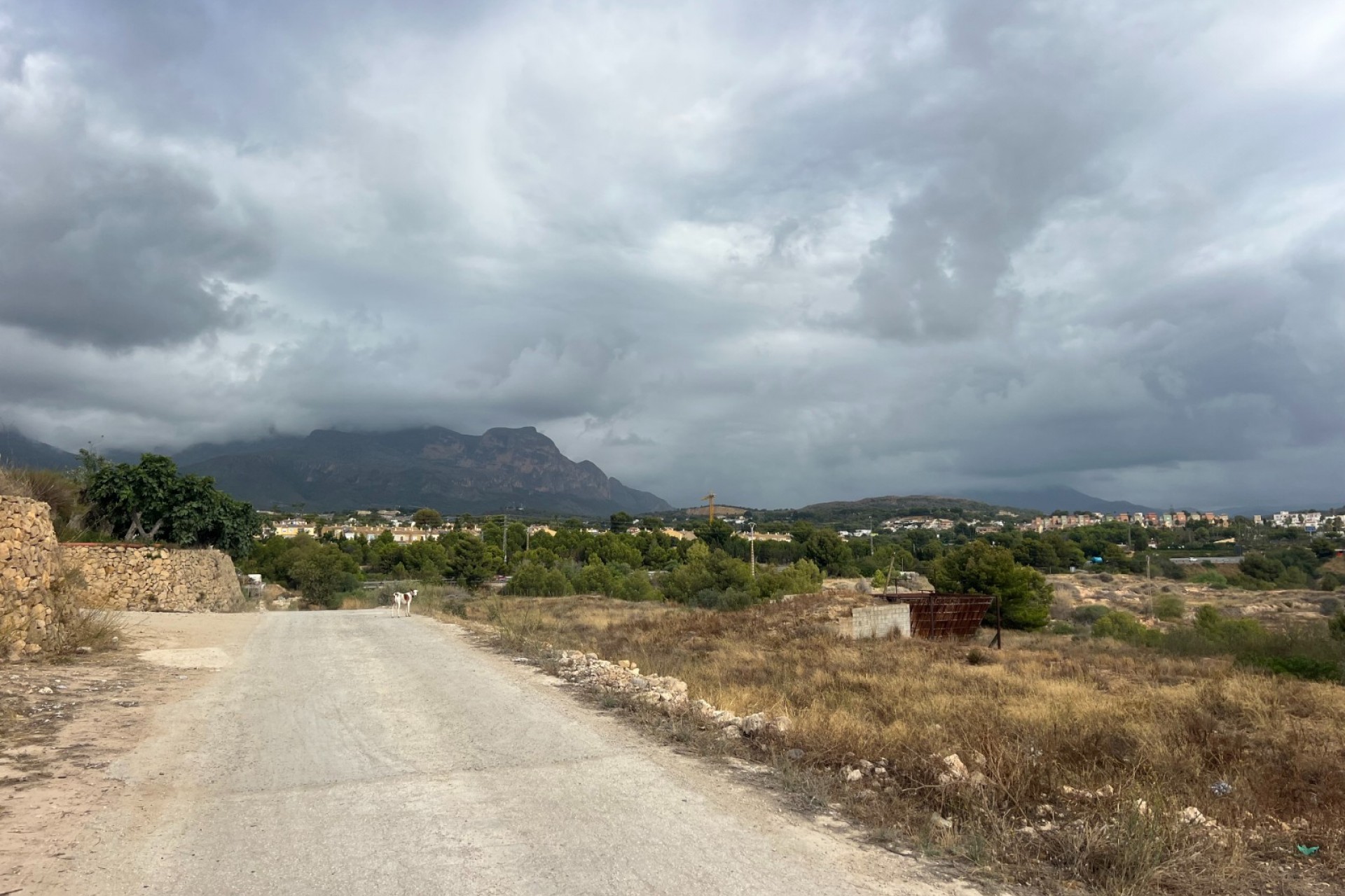 Rynek Wtórny - Działka -
Alfaz del Pi