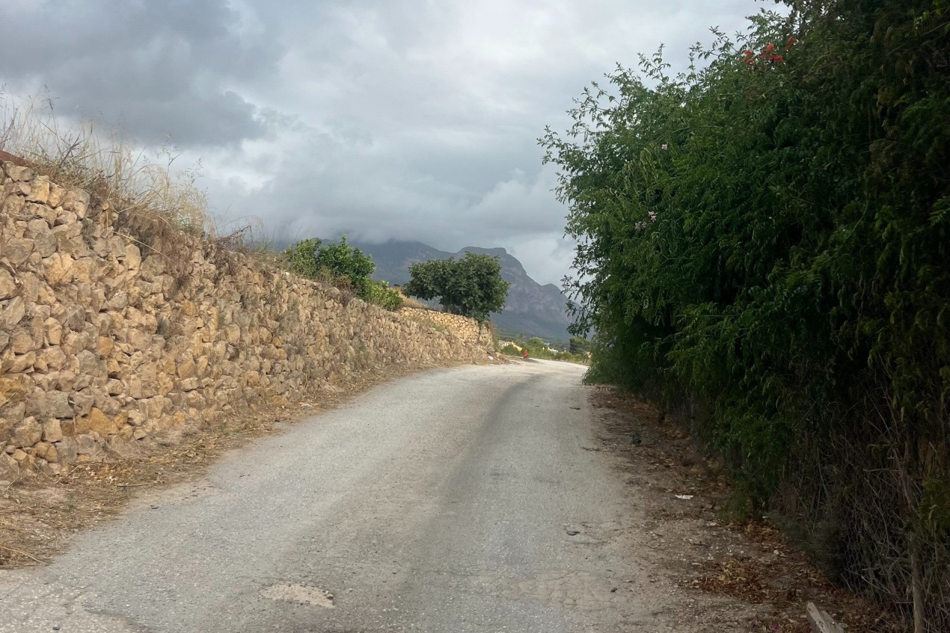 Rynek Wtórny - Działka -
Alfaz del Pi