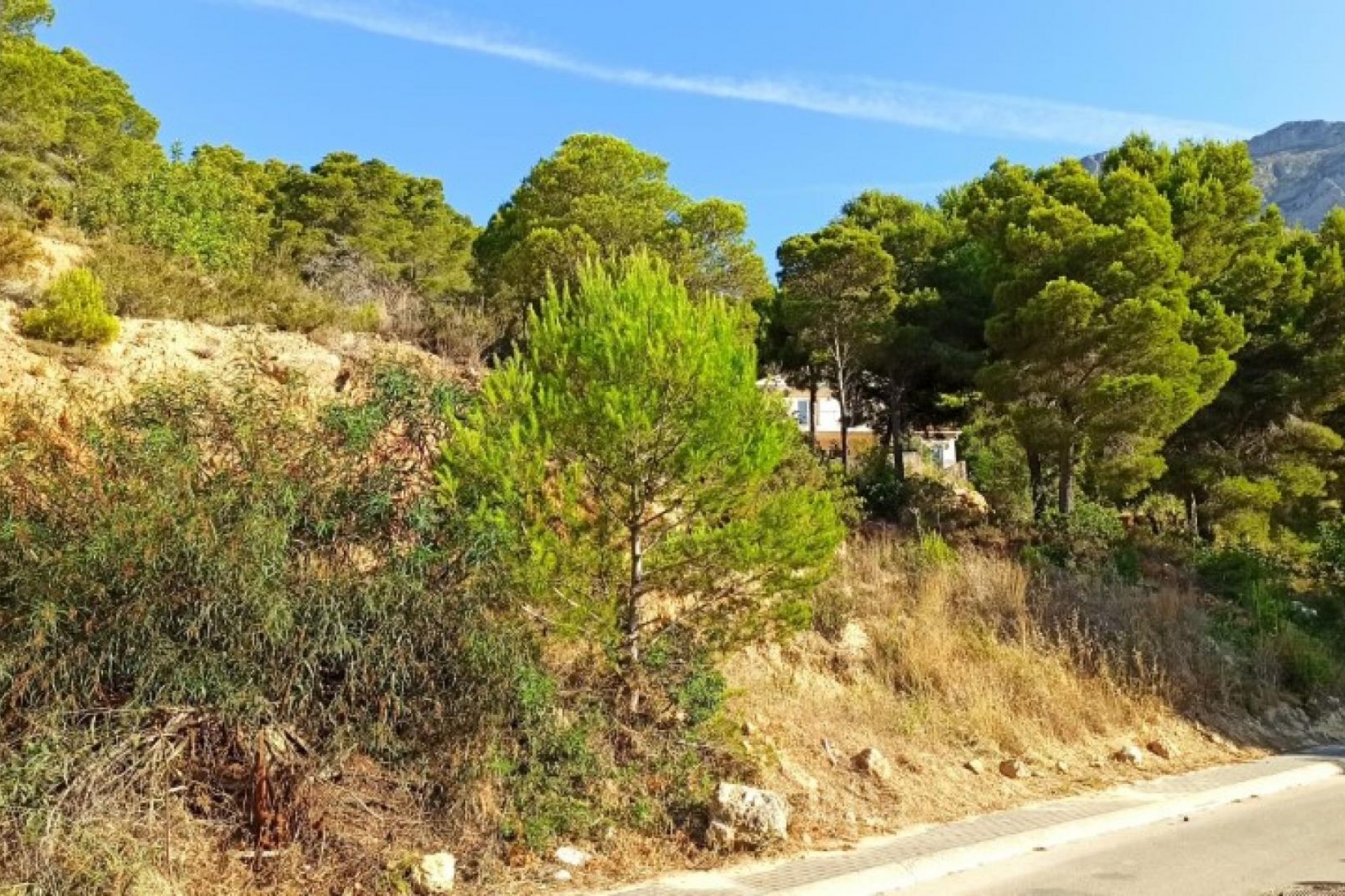 Rynek Wtórny - Działka -
Altea la Vella - Altea