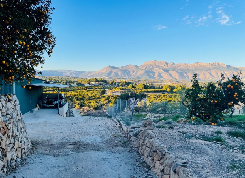 Rynek Wtórny - Działka -
Altea