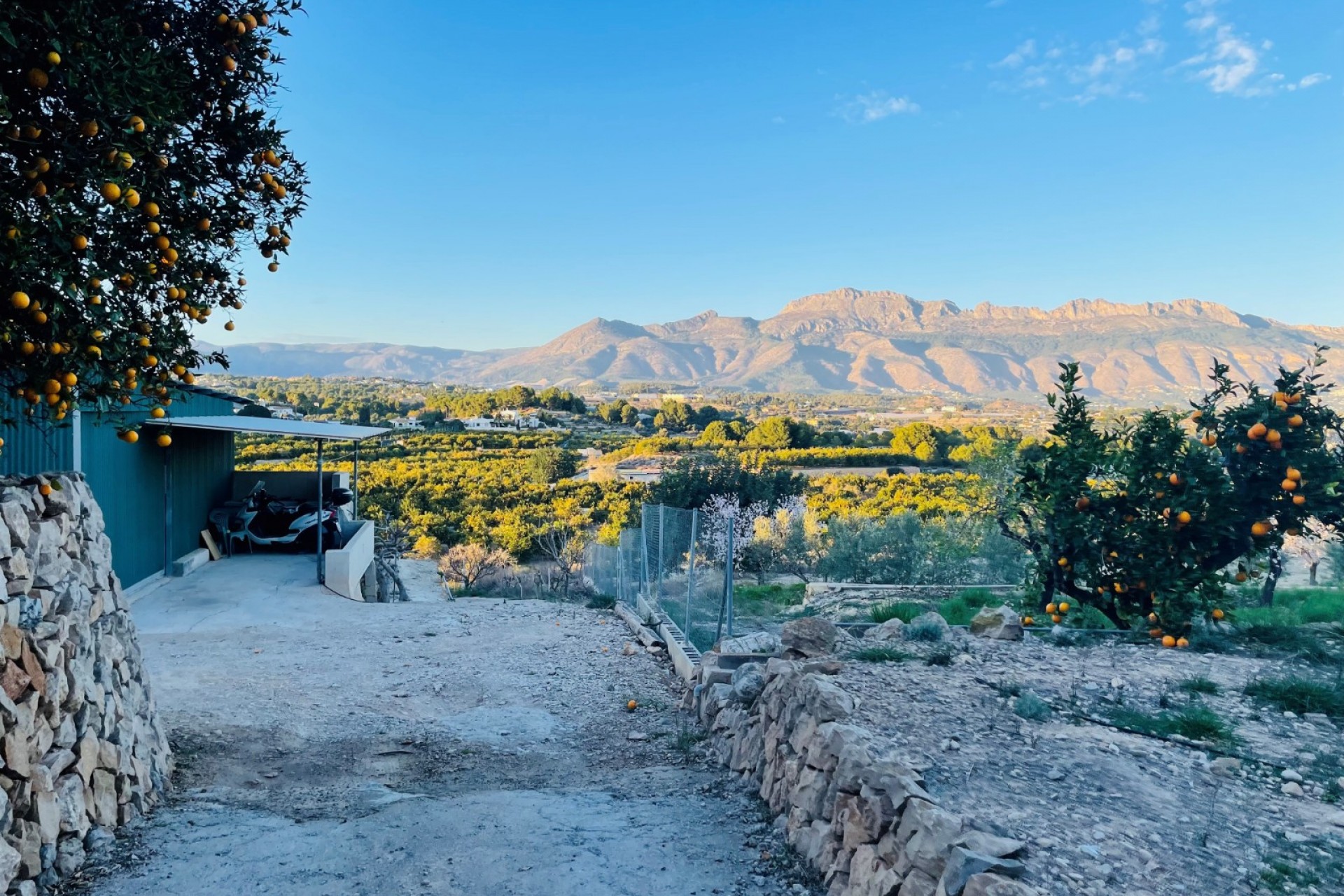 Rynek Wtórny - Działka -
Altea