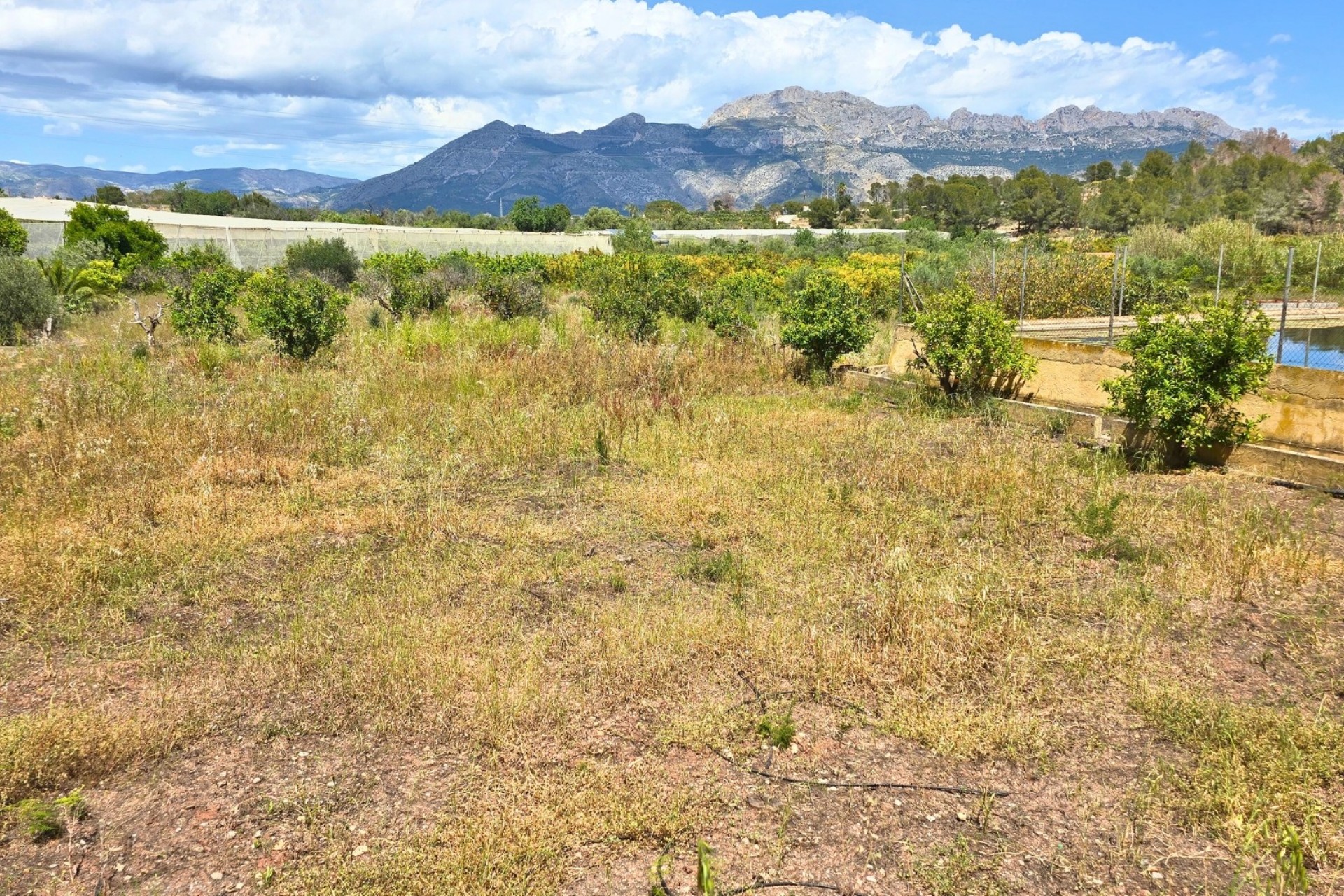 Rynek Wtórny - Działka -
La Nucía