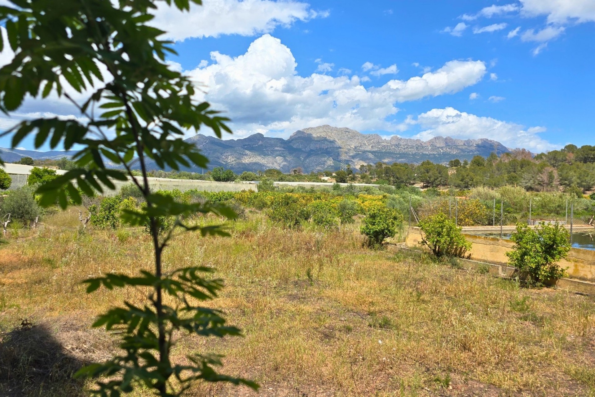Rynek Wtórny - Działka -
La Nucía