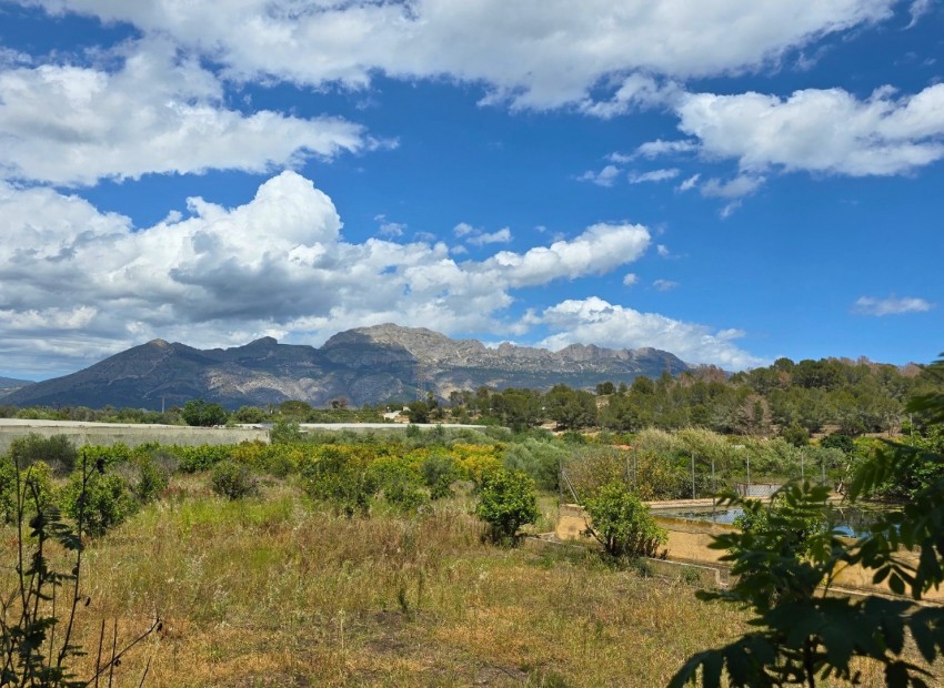 Rynek Wtórny - Działka -
La Nucía