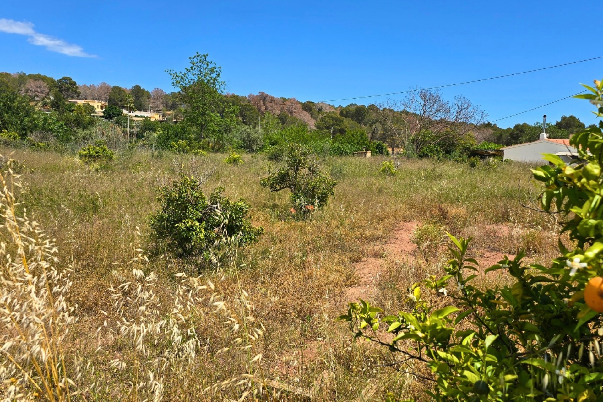 Rynek Wtórny - Działka -
La Nucía
