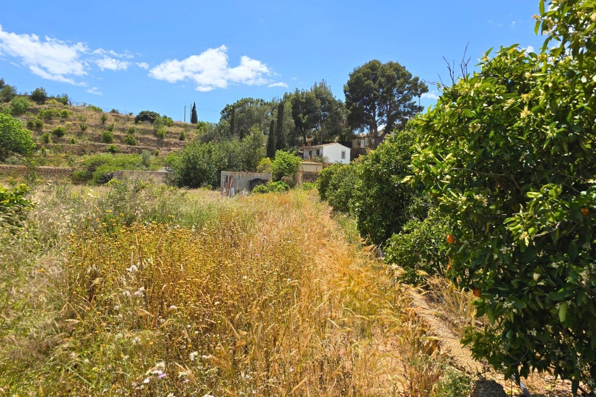 Rynek Wtórny - Działka -
La Nucía
