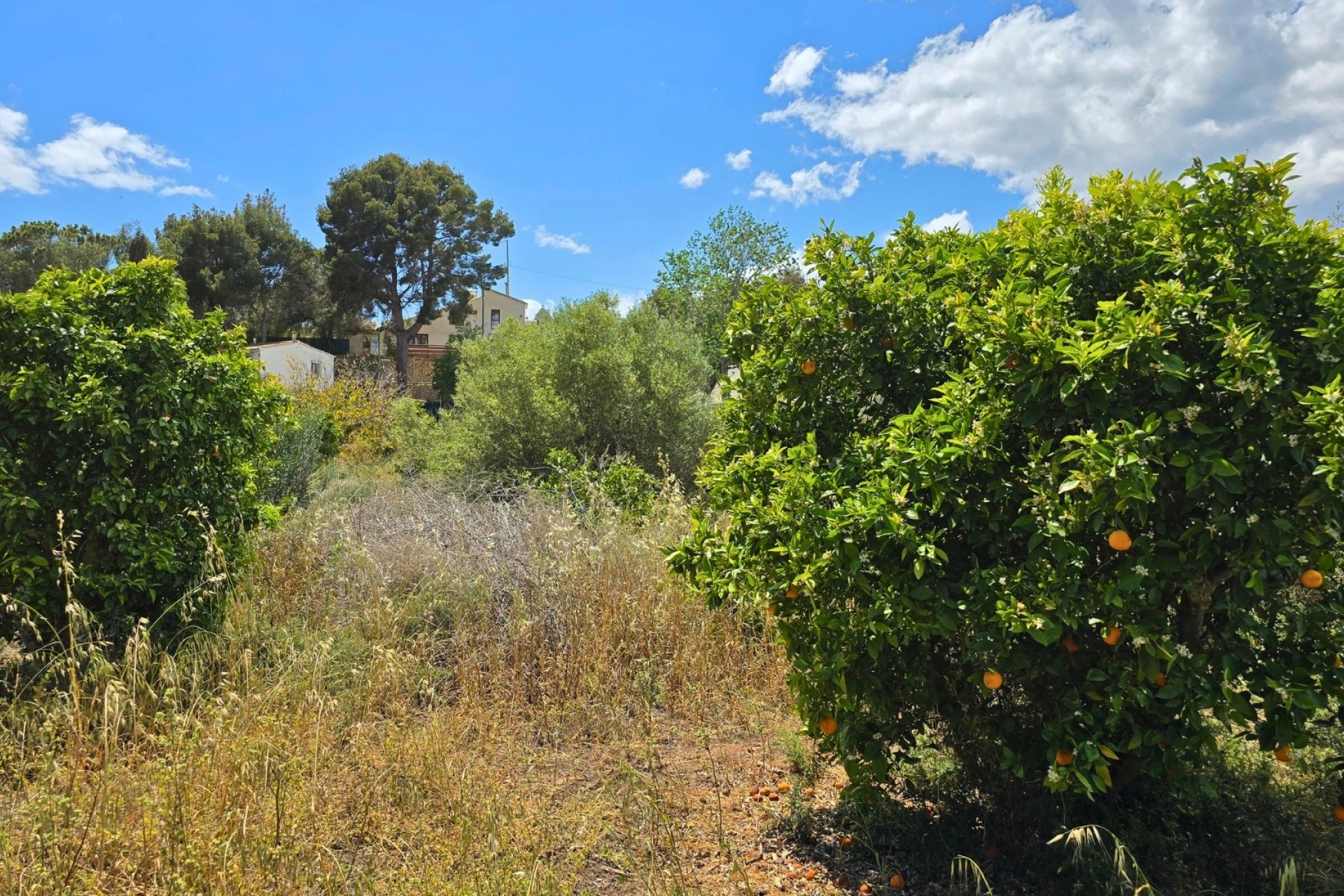 Rynek Wtórny - Działka -
La Nucía