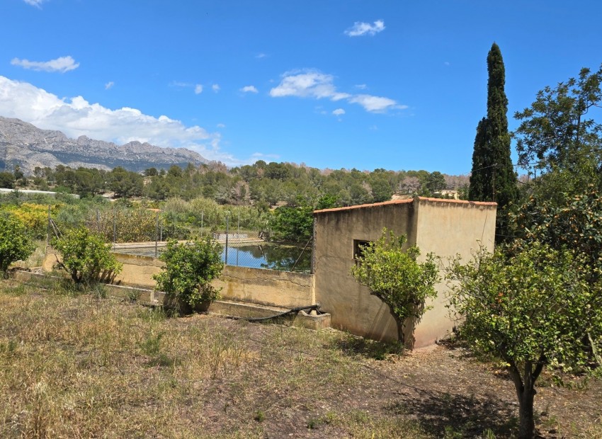 Rynek Wtórny - Działka -
La Nucía