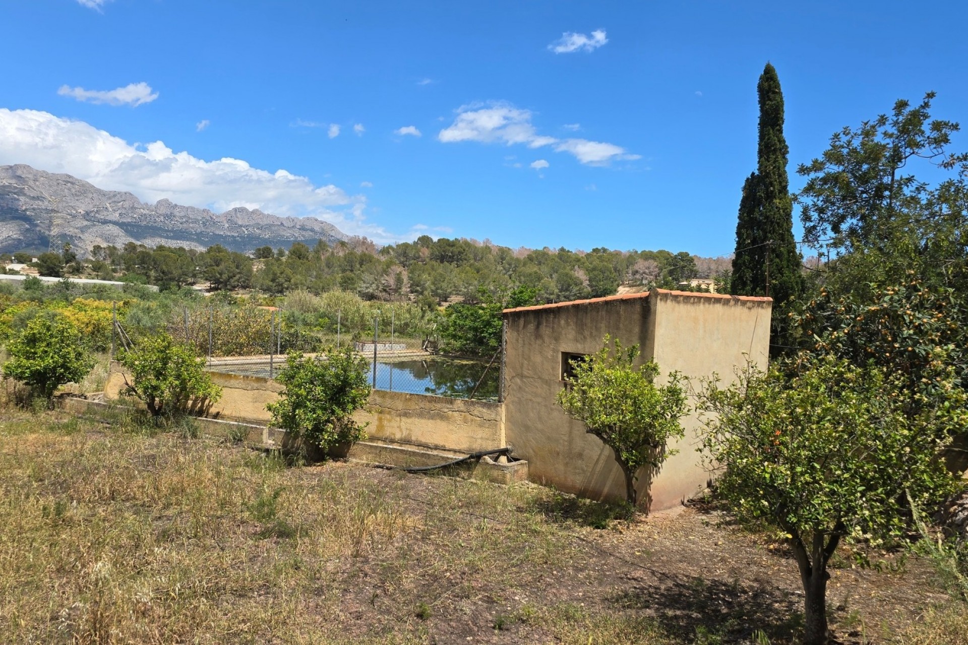 Rynek Wtórny - Działka -
La Nucía