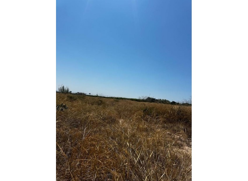 Rynek Wtórny - Działka miejska -
Elche