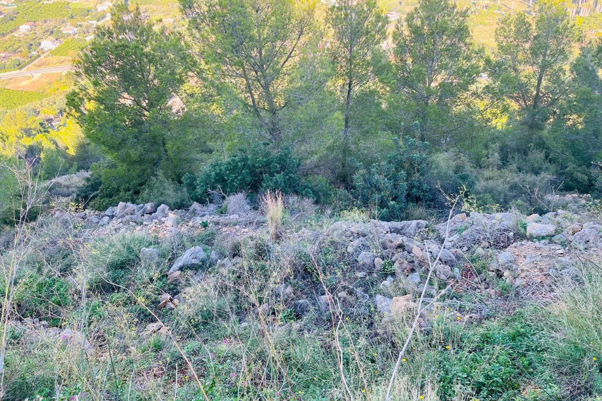 Rynek Wtórny - Działka miejska -
Pedreguer