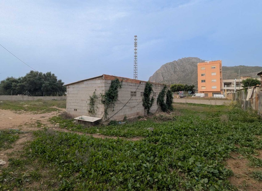 Rynek Wtórny -  -
El Verger