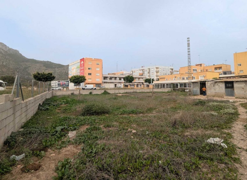 Rynek Wtórny -  -
El Verger