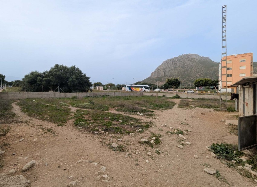 Rynek Wtórny -  -
El Verger