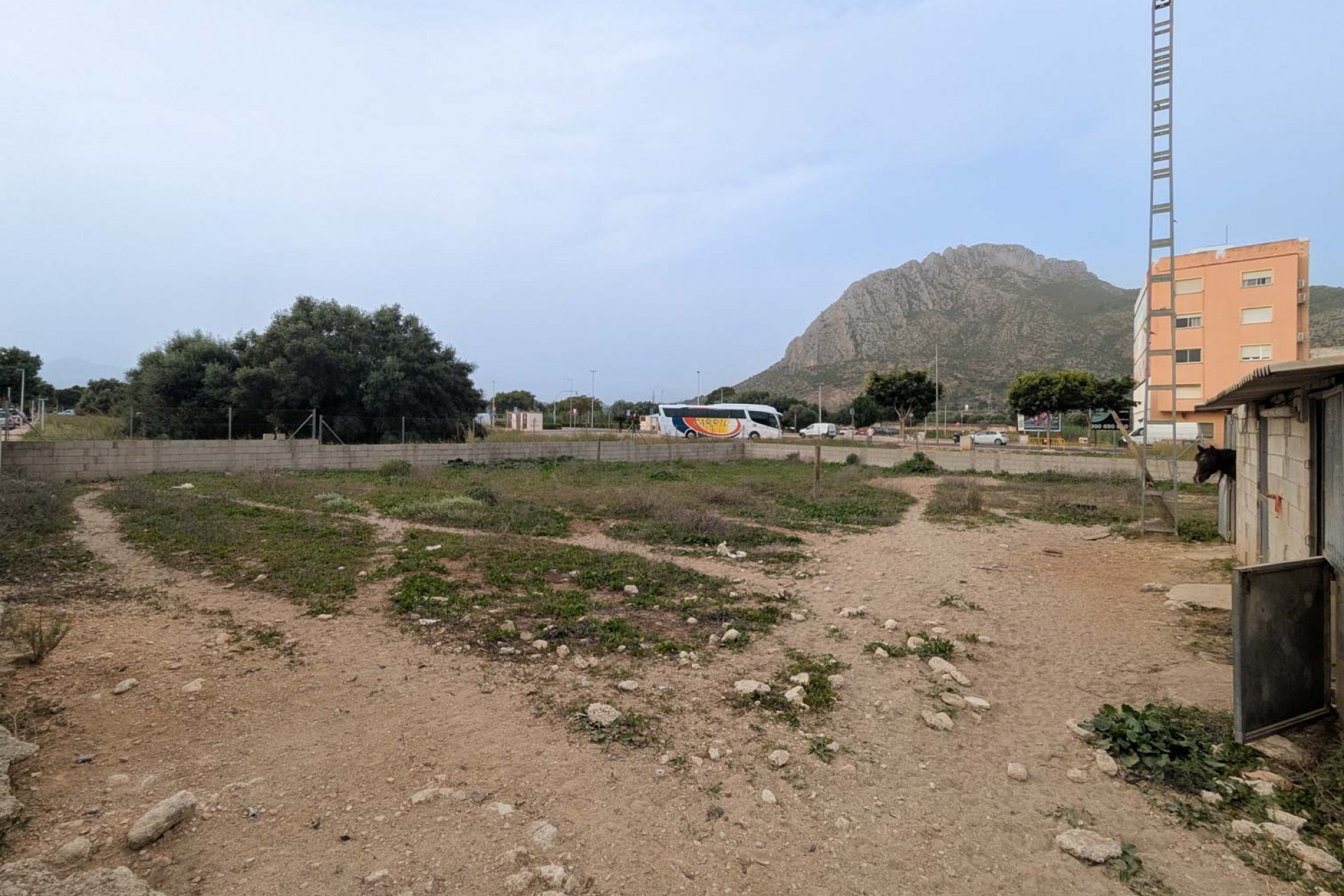 Rynek Wtórny -  -
El Verger