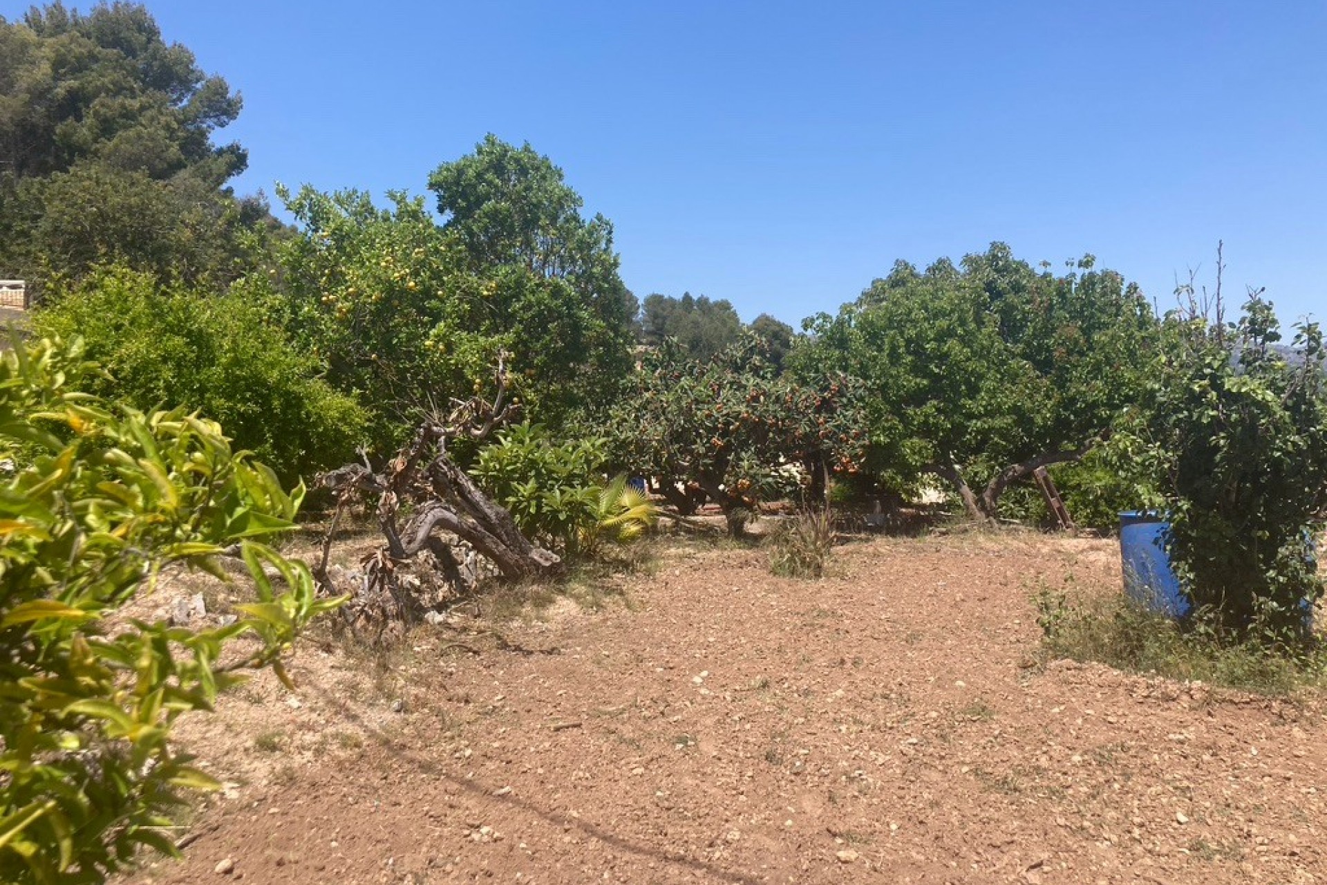 Rynek Wtórny - Finca -
Callosa De Ensarrià